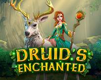 Druid`s Enchanted